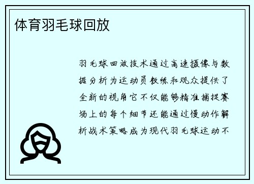体育羽毛球回放