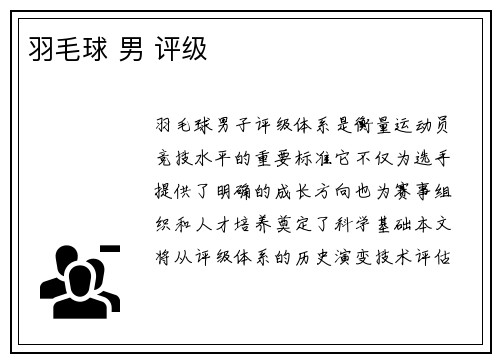 羽毛球 男 评级