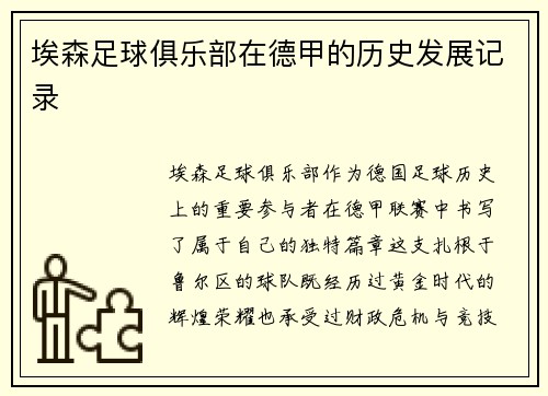 埃森足球俱乐部在德甲的历史发展记录